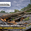 Storm Damage Roof Repair in Hendersonville: What Homeowners Should Do First